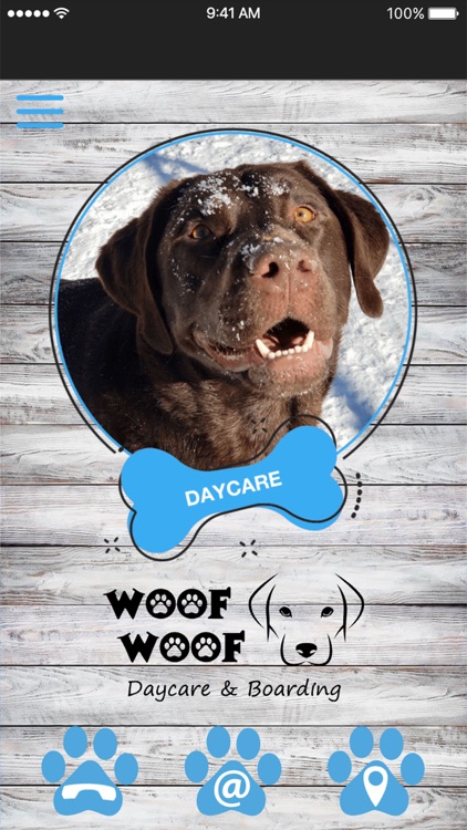 Woof sales woof daycare