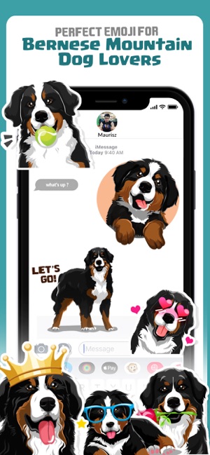 Bernese Mountain Dog Emoji(圖1)-速報App