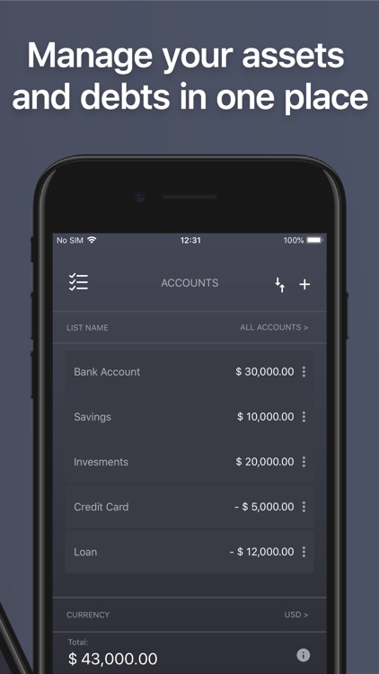 Net Worth - BalanceViewer