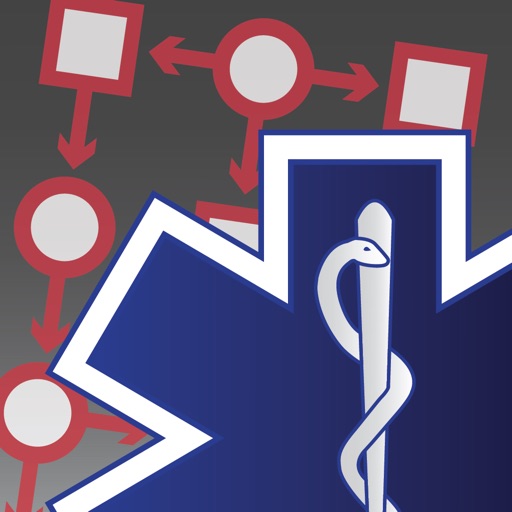 Paramedic Protocol Provider Logo