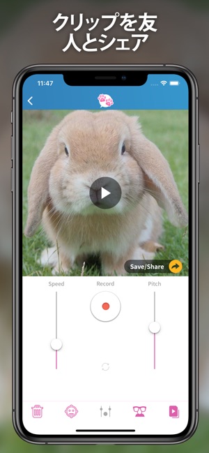 おしゃべりペット Pro Screenshot