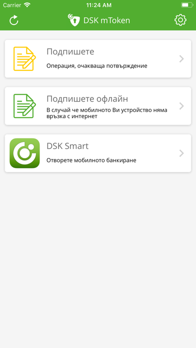 DSK mToken screenshot 3