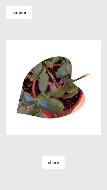 Empty Leaf screenshot-3