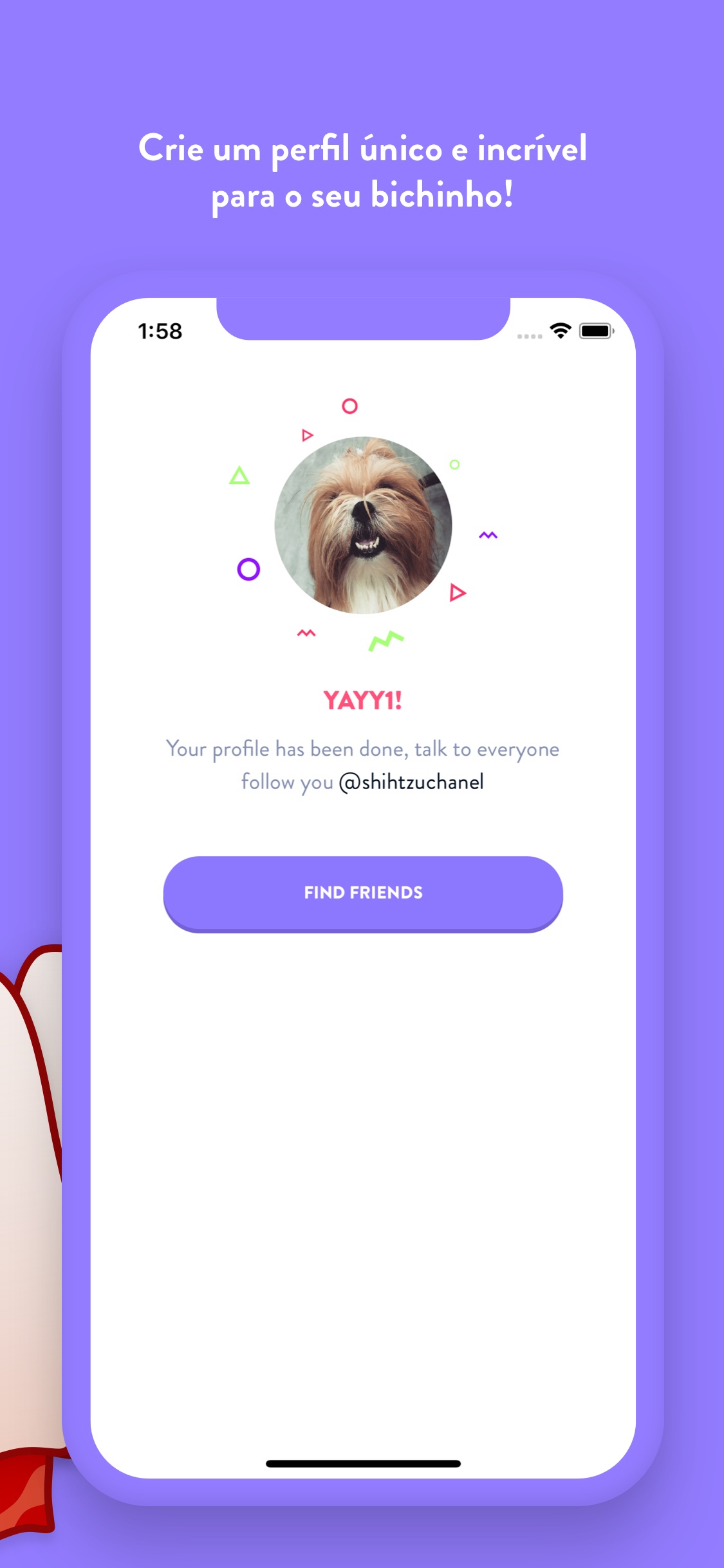 Screenshot do app Flockr