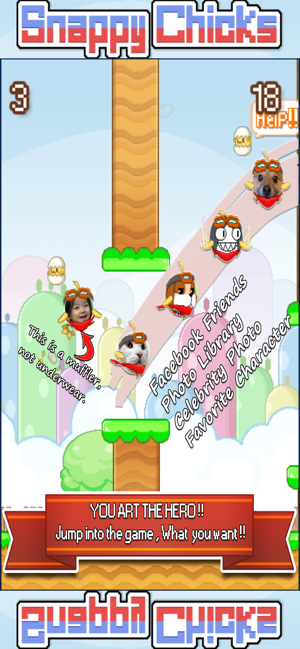 Snappy Chicks : Flappy Friends