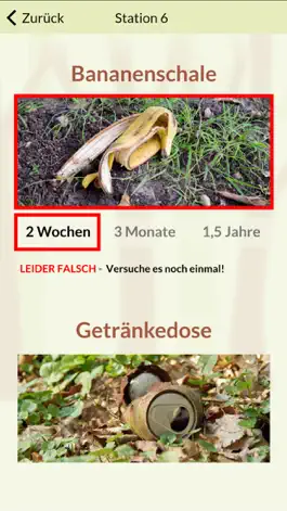 Game screenshot Buchenwaldmeister Angelbachtal hack