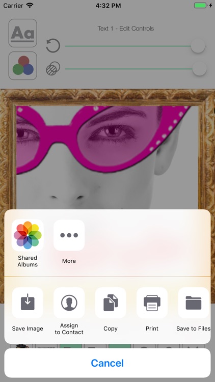 photo-meme screenshot-6