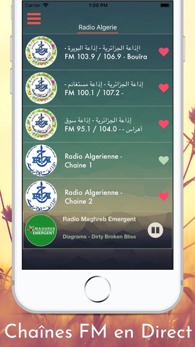 Radio Algerie screenshot 4