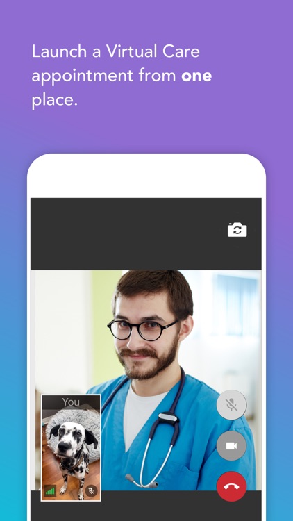 PetDesk