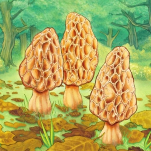 Morels Icon