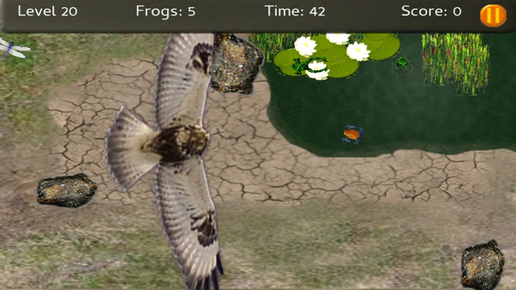 Baby Frogs - Frog Wrangling screenshot-3