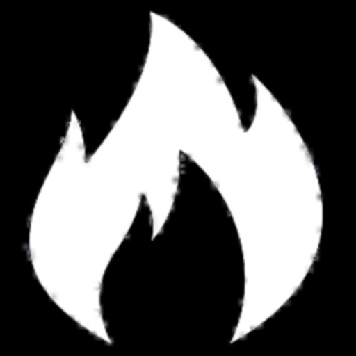 iWALL Fireplace + Wall Units