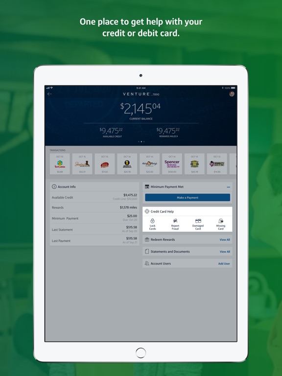 iPad Image of Capital One Mobile