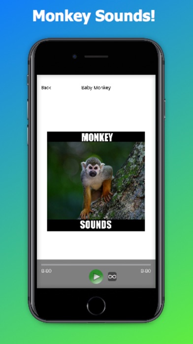 Monkey Sounds! Animal Sounds.! screenshot 1