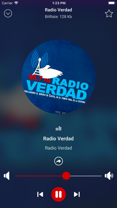 Radios Cristianas Musica screenshot 2