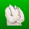 I Am Doctor - a fun application with which you can take pictures in various clothes of doctors