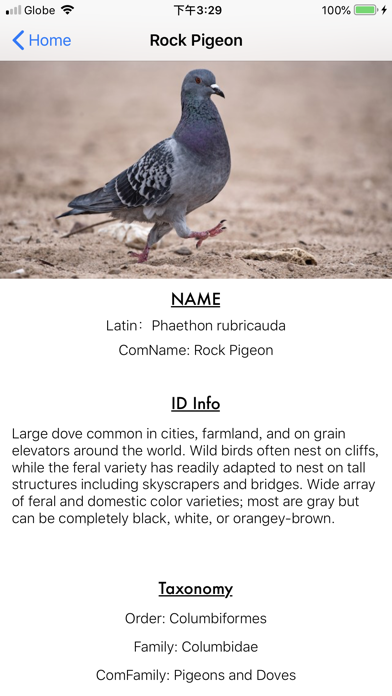 Bird_Encyclopedia screenshot 3