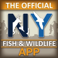 New York Fish and Wildlife App ne fonctionne pas? problème ou bug?