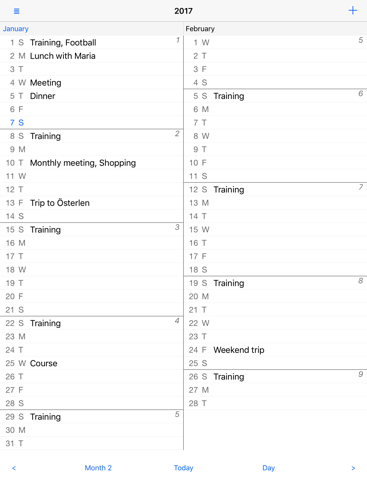 Month View Calendar - náhled