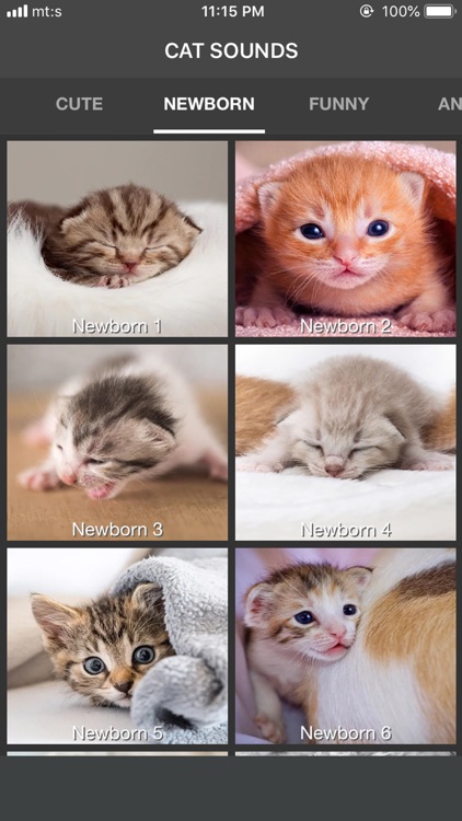 Cat Sounds - Meow Soundboard screenshot-3
