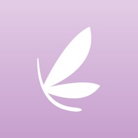 Lashbar pour PC