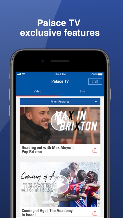 Crystal Palace FC screenshot-6