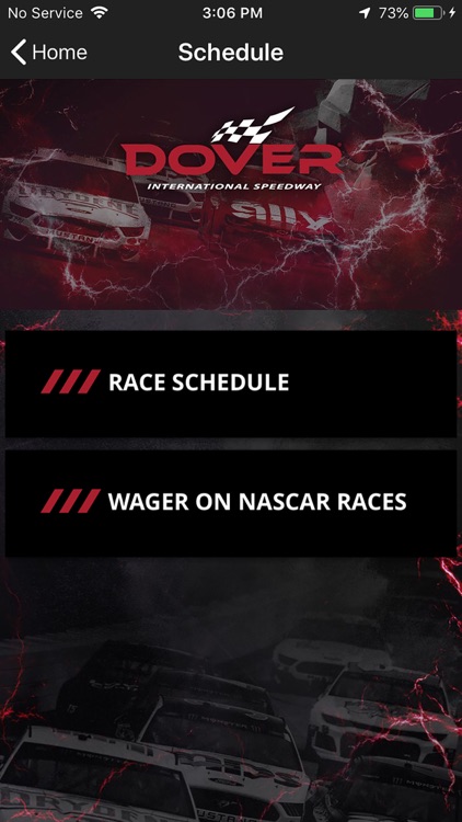 Dover Speedway screenshot-3