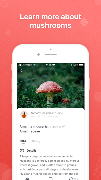 How to cancel & delete Picture Mushroom - Mushroom ID from iphone & ipad 3