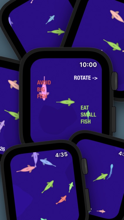 Fish in a Watch screenshot-0