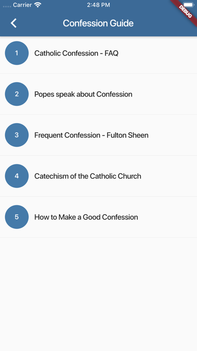 Catholic Confession Guide screenshot 2
