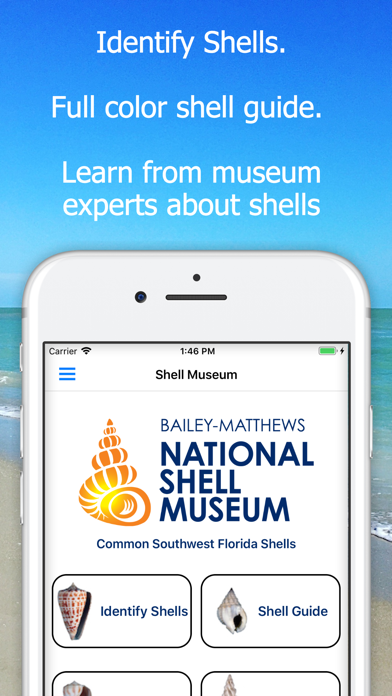 How to cancel & delete Shell Museum: Identify Shells from iphone & ipad 1