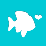 POF Dating