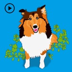 Exciting Sheltie Dog Sticker