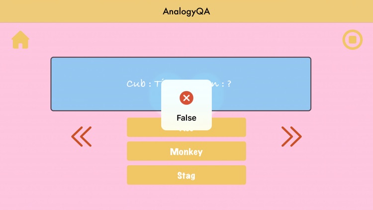 AnalogyQA screenshot-3