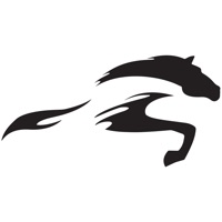 Stallion Buildtech pour PC