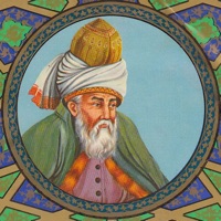 Contact Rumi Balkhi