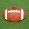 PlayMaker Pro for iOS enables you to display and print PlayMaker Pro documents for American Football, Canadian Football or Basketball on an iPad, iPhone or iPod Touch