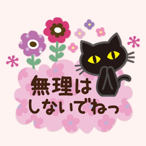 black cat (KIZUKAI) icon