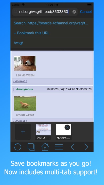 Frost WebM Player Browser