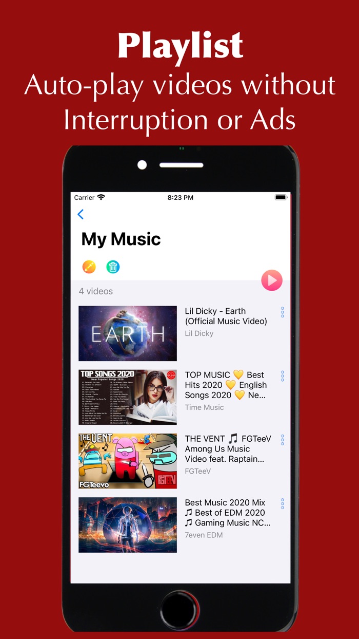 PiP Video Player Widget Photo