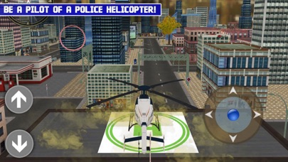 Missions Pilot: Police Helico screenshot 1