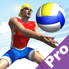 Activities of Beach Volley Pro