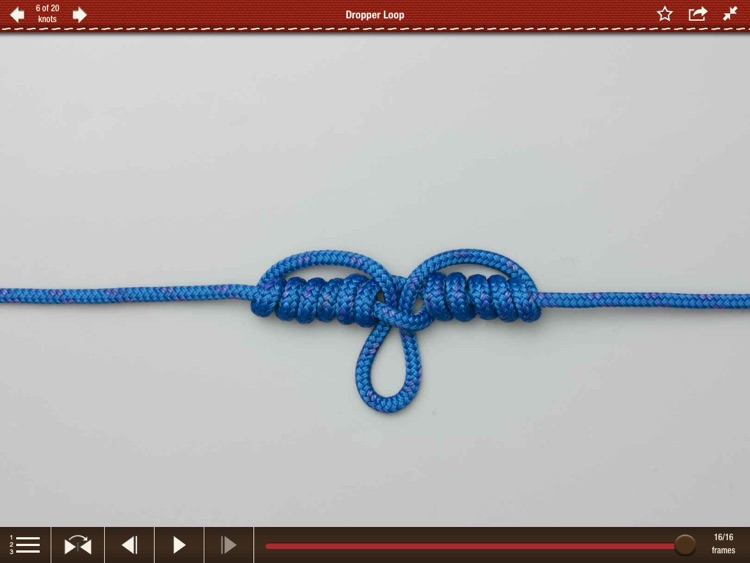 Animated Knots by Grog HD