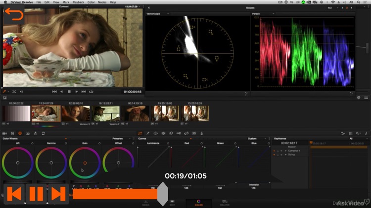 Primary Color Grading Course screenshot-3