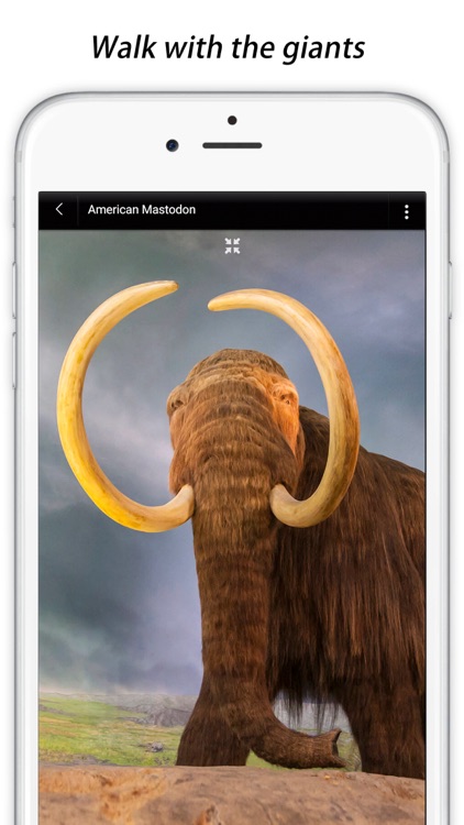 Natural History Museum Guide
