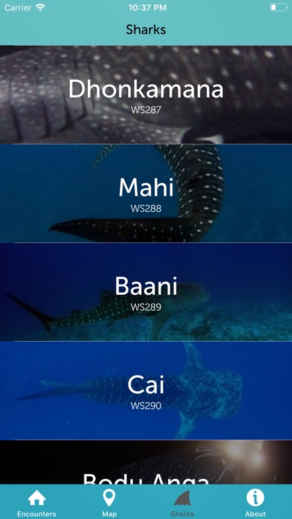 Whale Shark Network Maldives screenshot-5