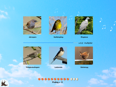 Chirp! Bird Songs UK & Europe screenshot 4