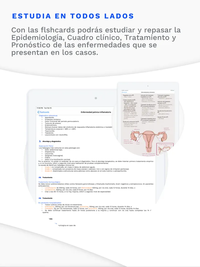 Captură de Ecran 5 Estudio Medicina iphone
