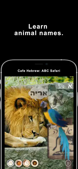 Game screenshot Cafe Hebrew: Safari apk