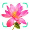 Flower plant identification! - iPhoneアプリ